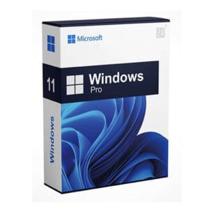 Windows 11 Pro - hover