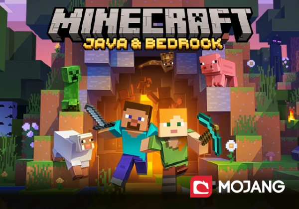 Minecraft €25