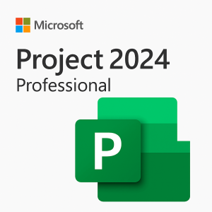 Microsoft Project Professional 2024