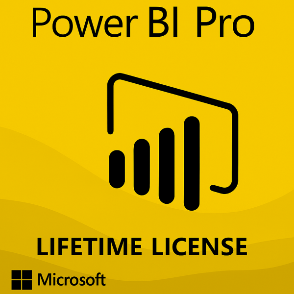Power BI Pro - 1 Jaar